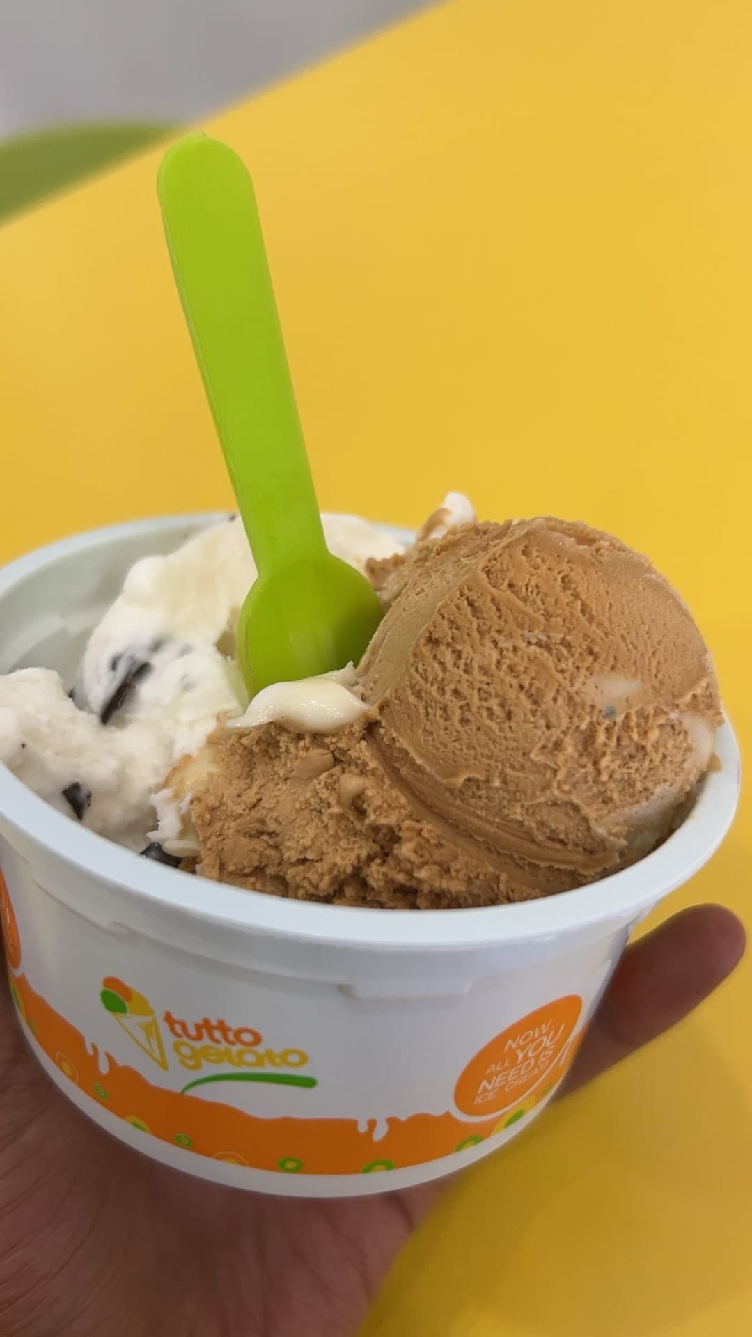 Caramel and stracciatella scoops close up
